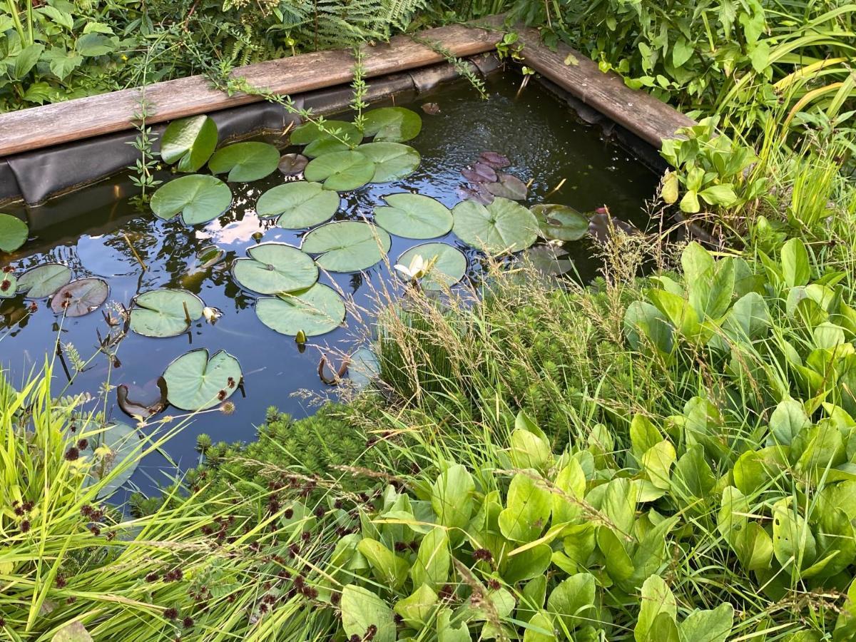 Gite Annastef Namur Ngoại thất bức ảnh